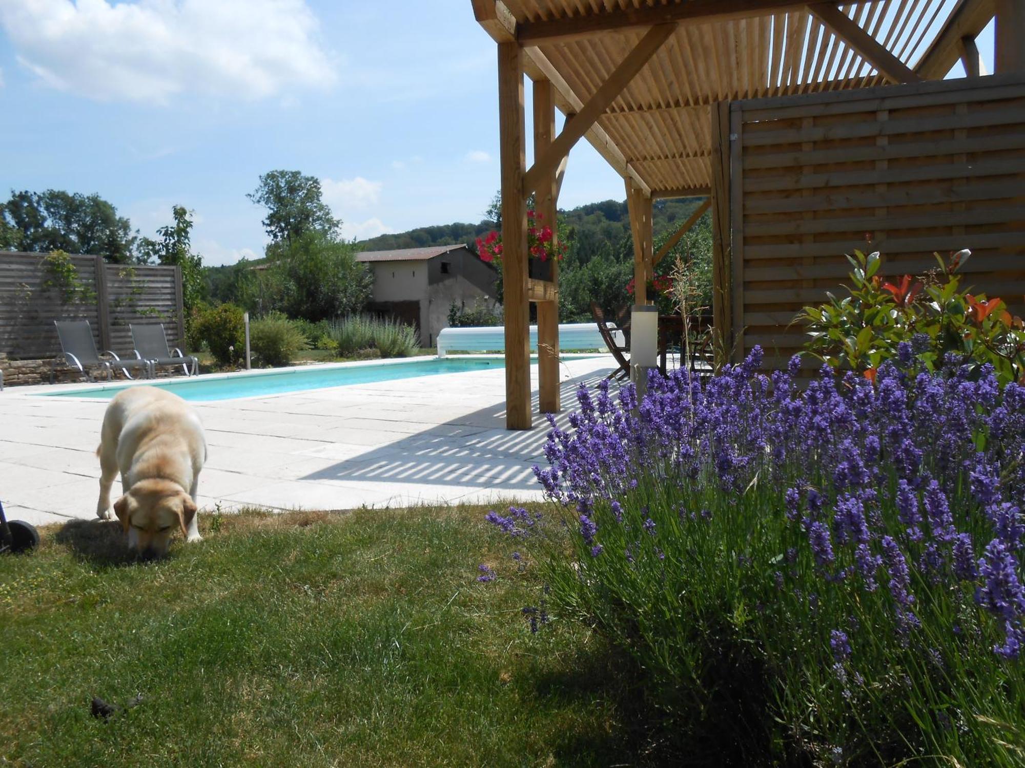 Bed and Breakfast Les Grands Prés Geney Exterior foto